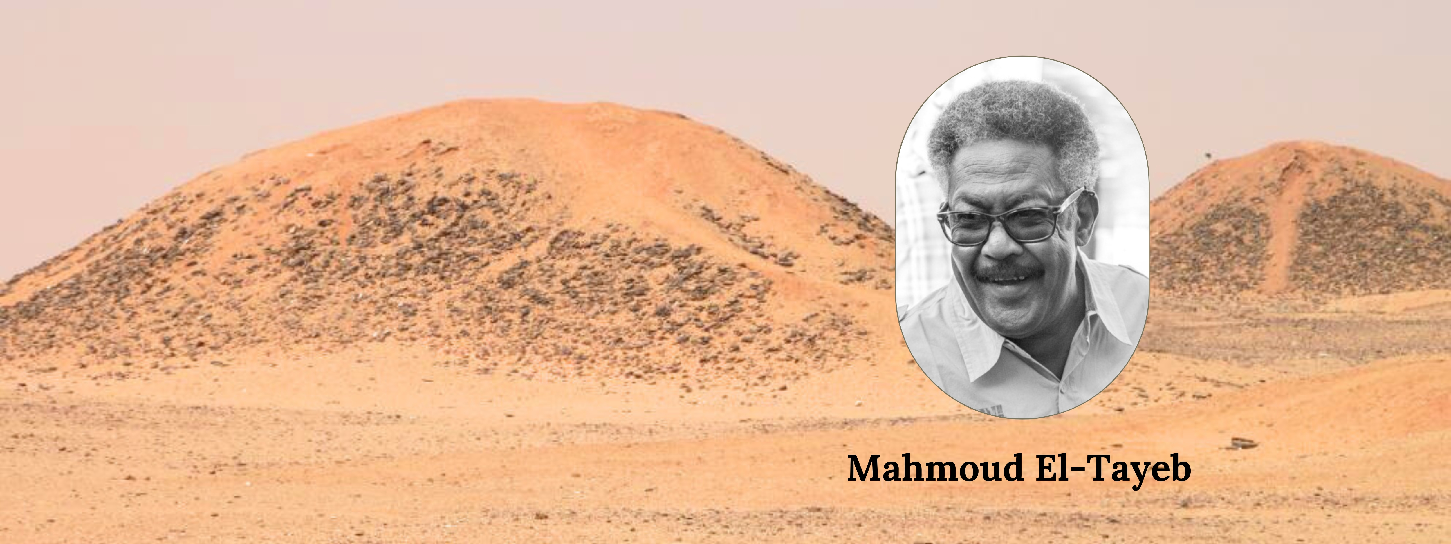 Mahmoud El Tayeb 1600 x 600 px 2